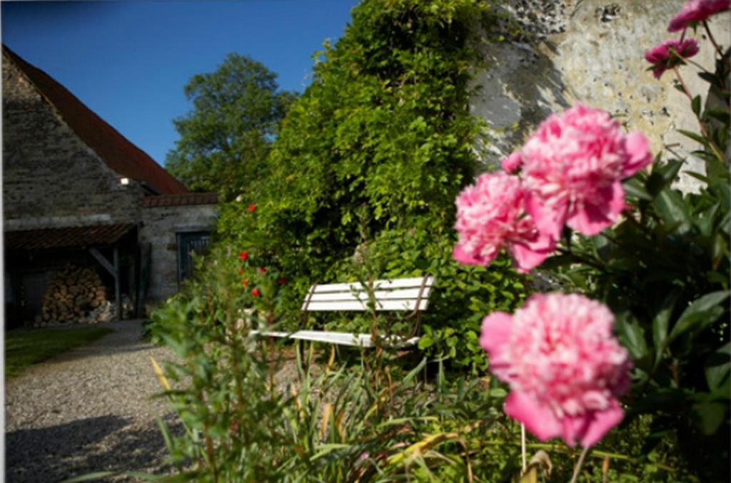 Chateau De Cocove Recques-sur-Hem Eksteriør bilde